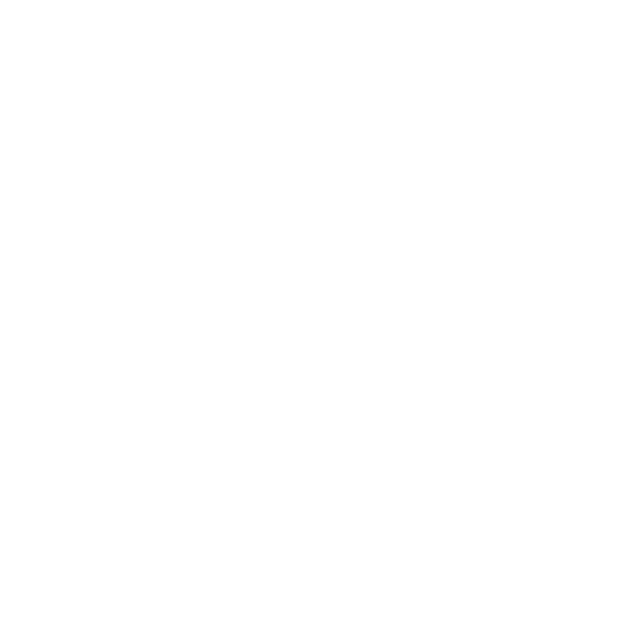 Choose Us Icon